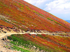 Babusar Pass