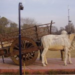 800px-Bull_Cart_of_Punjab