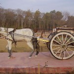 800px-Tanga_from_Punjab